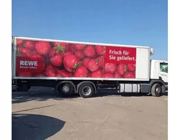 Schmitz OEM ZABUDOWA SKRZYNIA ŁADUNKOWA FIRANKA RENAULT MIDLUM 7,70X2,48X3,05 image 4