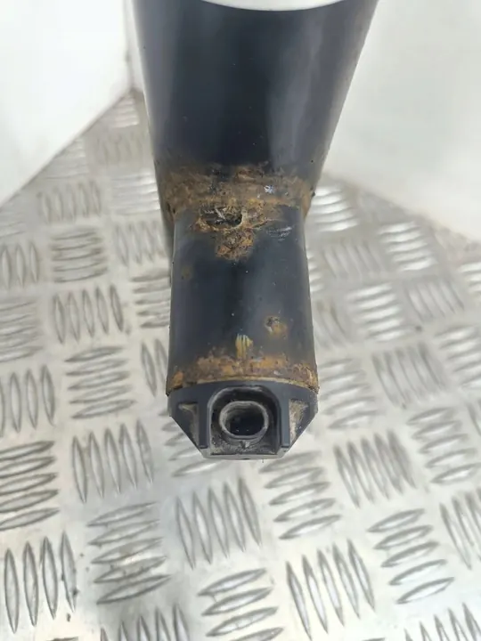 Ammortizzatore posteriore Mercedes-Benz C W204 2009 A2043203030 image 7