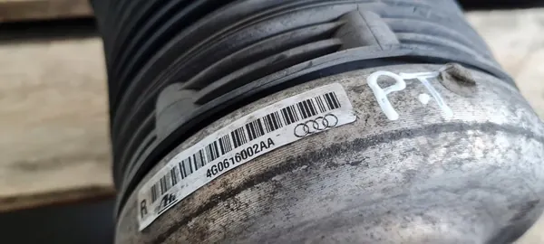 Airbag di Sospensione Posteriore Audi S6 C7 4G 4G0616002AA image 4