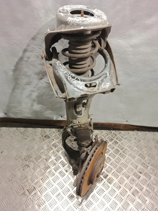 Amortiguador Delantero Izquierdo OEM MCPHERSON 6840 Peugeot 407 image 2