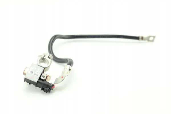 Negativ batteriklemma OEM 7616199-01 för BMW E88 image 4
