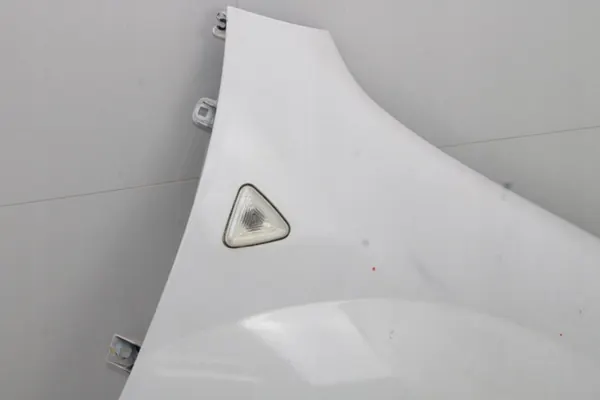 Para-lamas dianteiro direito OEM 360212946 para Renault Kangoo II image 5