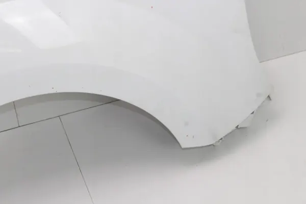 Para-lamas dianteiro direito OEM 360212946 para Renault Kangoo II image 6