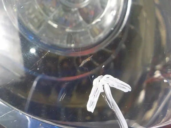 VW GOLF V 5 PLUS LUZ TRASERA IZQUIERDA 5M0945095N image 4