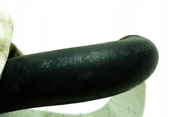 Convertible Roof Line / Hose HYUNDAI SANTA FÉ I (SM) image 3