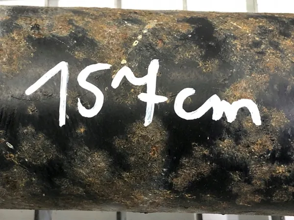 Arbre de Transmission Arrière Audi A4 B6 Berline 00-05 2.5 180CV 8E0521101D image 6