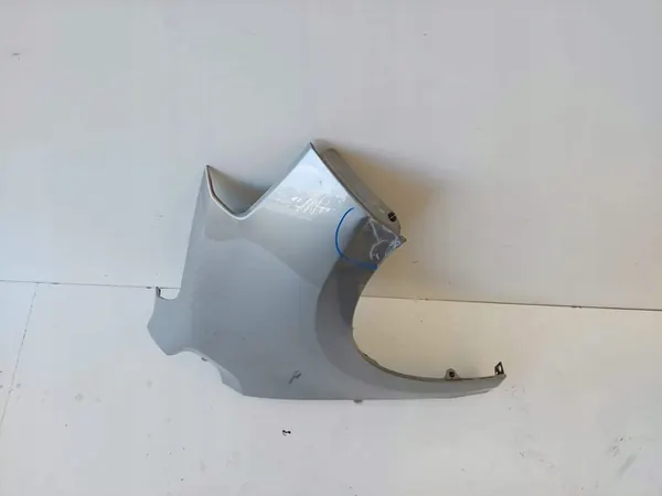 Volkswagen OE 1S0821106F parafango image 2