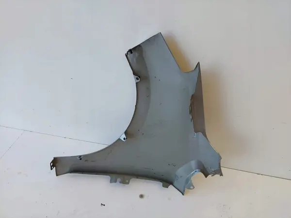 Volkswagen OE 1S0821106F parafango image 4