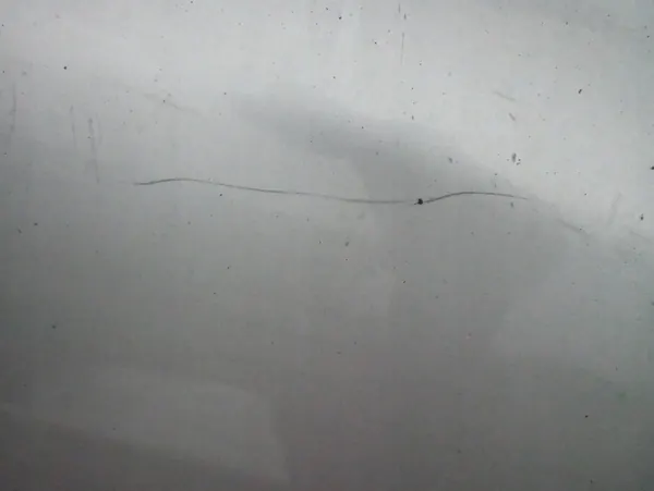 Porta traseira esquerda SKODA OCTAVIA 2 image 2