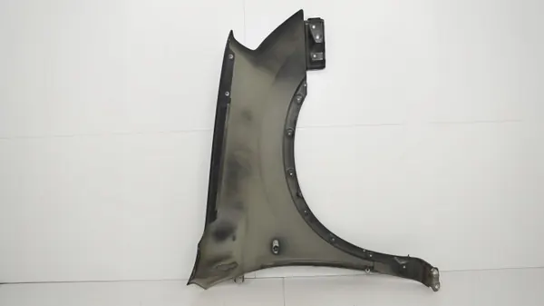 Para-lamas dianteiro esquerdo OEM 360204014 Nissan Qashqai J10 image 8