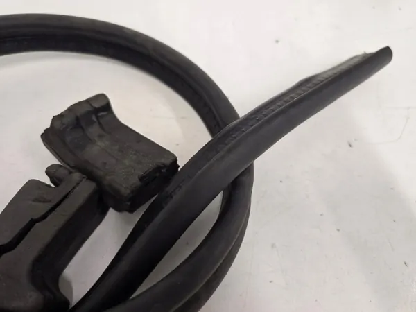 Junta del Van Motor OEM Audi A3 8P 2004-2008 Completa image 8