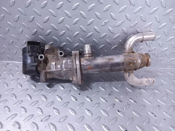 EGR-jäähdytin CITROËN C5 III BREAK 2.0L diesel image 5