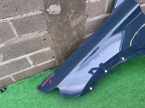 Aile avant gauche CUPRA FORMENTOR OEM image 3