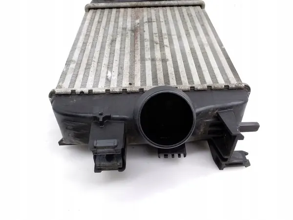 NISSAN JUKE II F16 Radiatore Intercooler Anteriore OEM 144961019R image 3