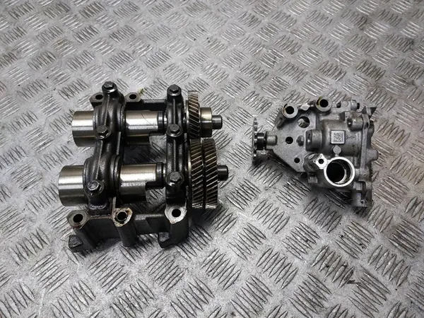 Ejes de equilibrio + Bomba de aceite Renault Koleos I 2.0 DCI 8200345633 image 2