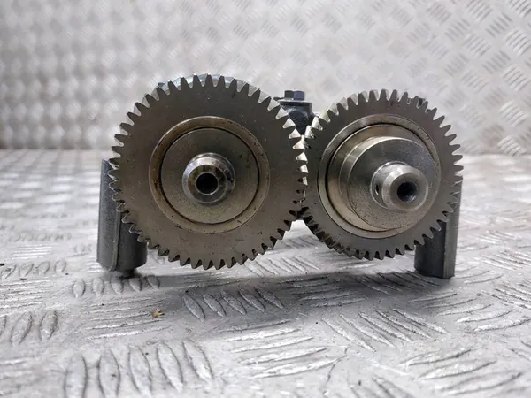 Ejes de equilibrio + Bomba de aceite Renault Koleos I 2.0 DCI 8200345633 image 7