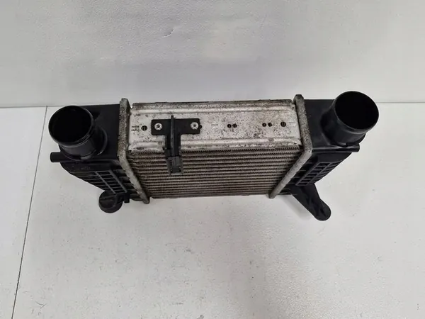 Nissan OE 14461EM00A Radiador Intercooler image 4