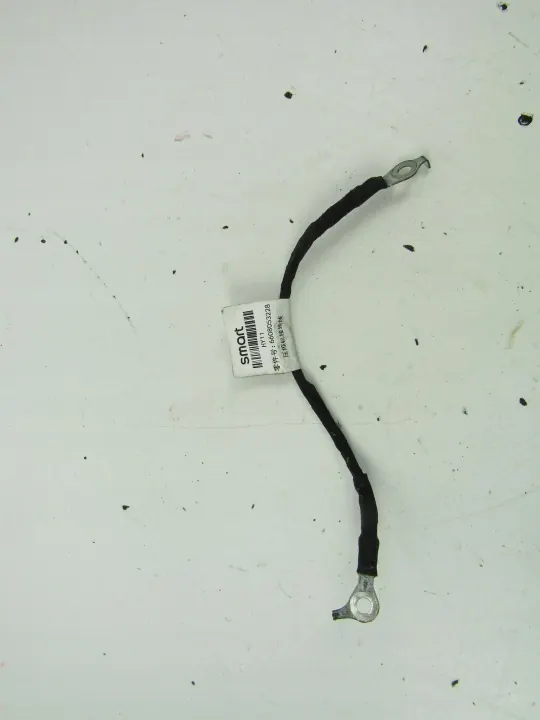 Câble électrique Smart Elf OEM 6608053228 image 2