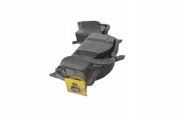 Erweiterungstank Dodge RAM 1500 Pickup 1002405AH image 3