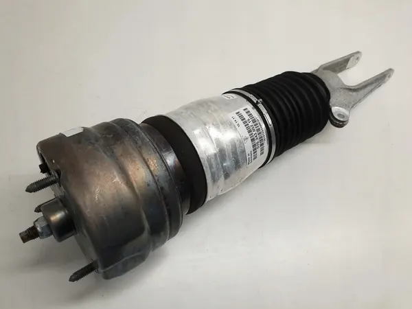 Ammortizzatore anteriore Porsche Panamera 2009-2013 image 2