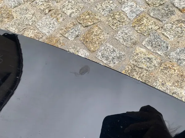 Original Framhuv TESLA MODEL 3 image 7