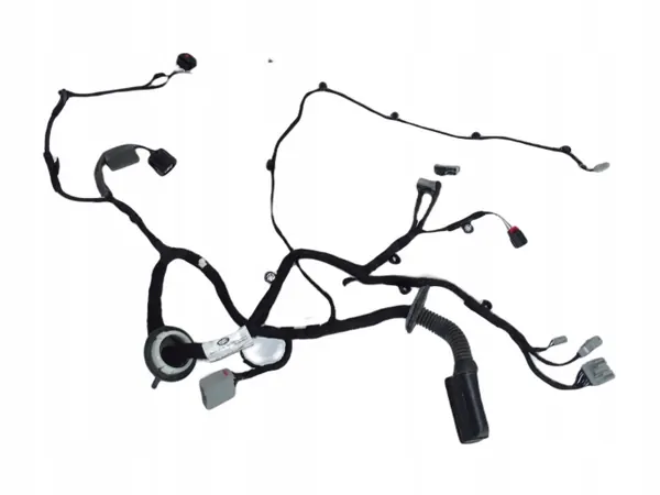 Faisceau de porte avant OEM HY3214630 pour caméra image 2