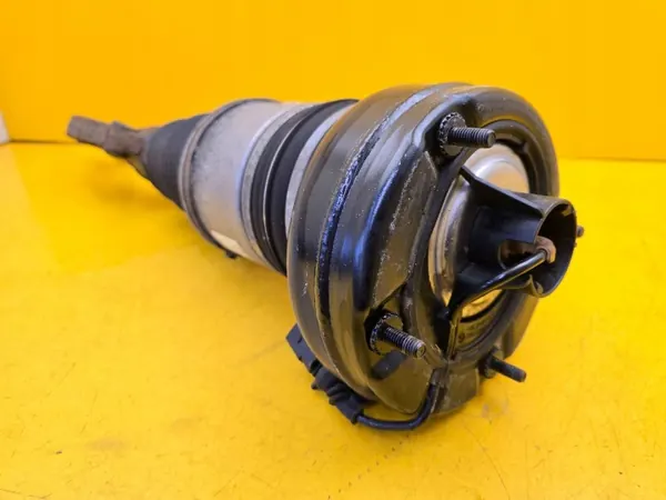 Porsche OE 95B616039B Ilmajousitus iskunvaimennin image 3