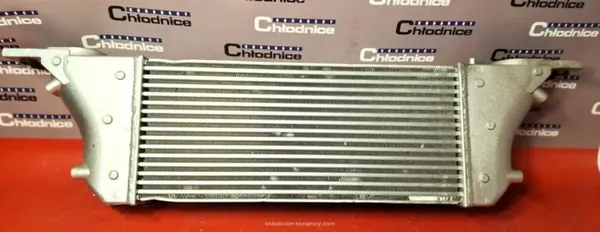 Intercooler Nissan Navara Pathfinder 3.0 dCi image 3