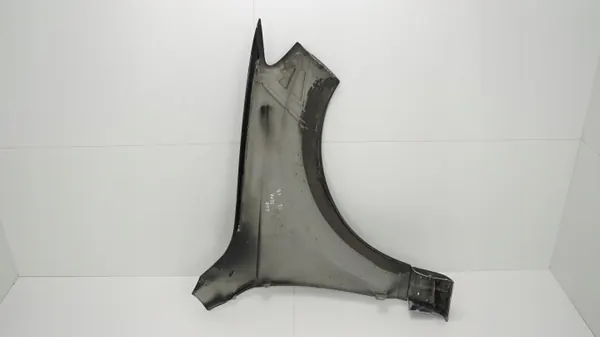 Para-lamas dianteiro esquerdo OEM 360209969 Audi Q7 05-09 image 8
