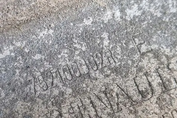 Etupuskuri RENAULT LAGUNA III 2.0L diesel OEM 752100002R image 2