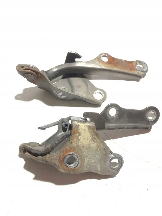 Charnières de capot OEM AFS41907 pour Lexus LS 430 2006 image 3