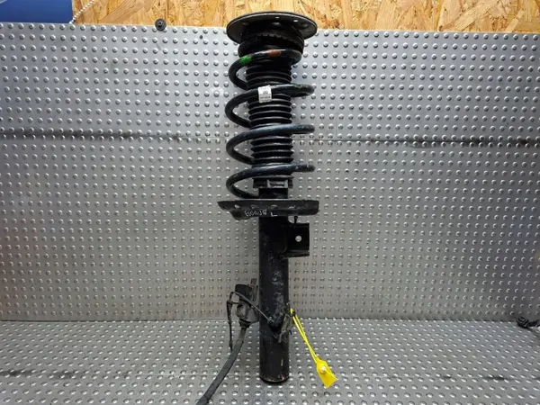 Stoßdämpfer Vorne Links OEM S25154224 - Range Rover image 2