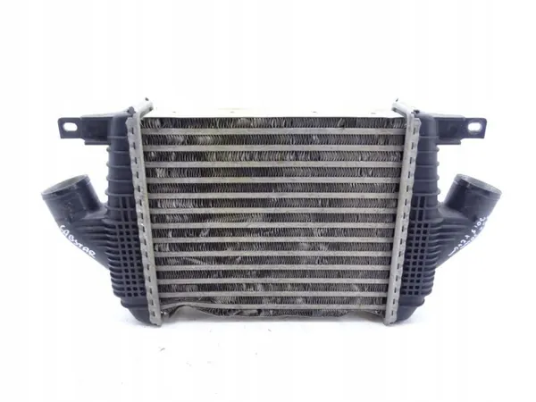 NISSAN_CABSTAR_RENAULT_MAXITY_07-14 2.5 DCI Intercooler image 2