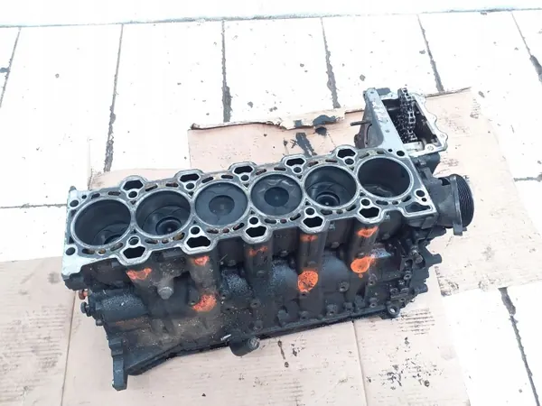 Bloc moteur BMW M57 d'occasion pour Série 5 E60/E61 image 2