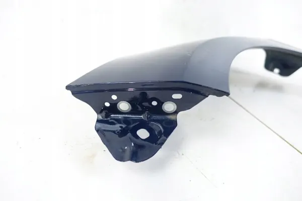 Para-lamas dianteiro esquerdo OEM H1BBA16016AD Ford Fiesta image 6