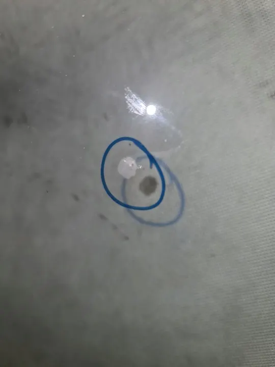 Frontscheibe Mini Countryman F60 image 4