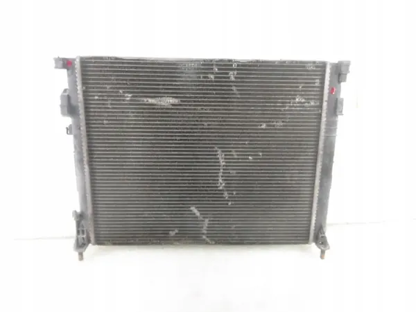 Radiador de agua Renault Trafic II 1.9 dCI 7700312899 image 4