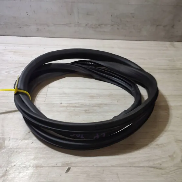 Türdichtung vorne links OEM 28918 Dacia Jogger image 2