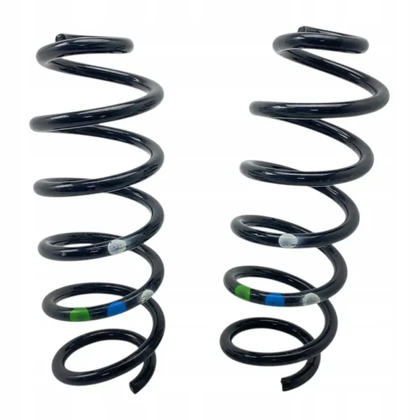 Rear Springs Dacia Duster III 25-> 550191317R image 1