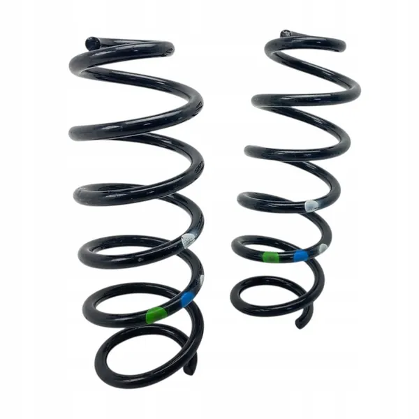 Rear Springs Dacia Duster III 25-> 550191317R image 2