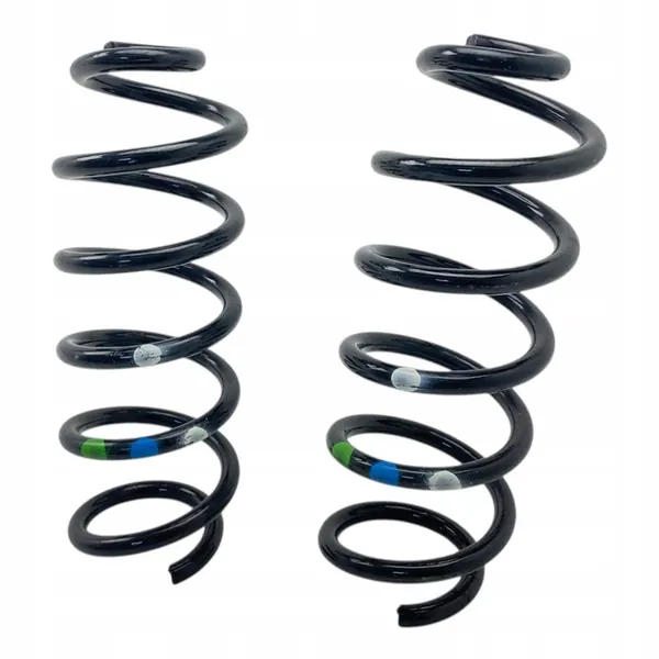 Rear Springs Dacia Duster III 25-> 550191317R image 3