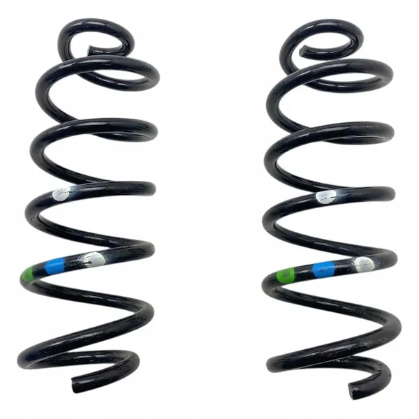 Rear Springs Dacia Duster III 25-> 550191317R image 4