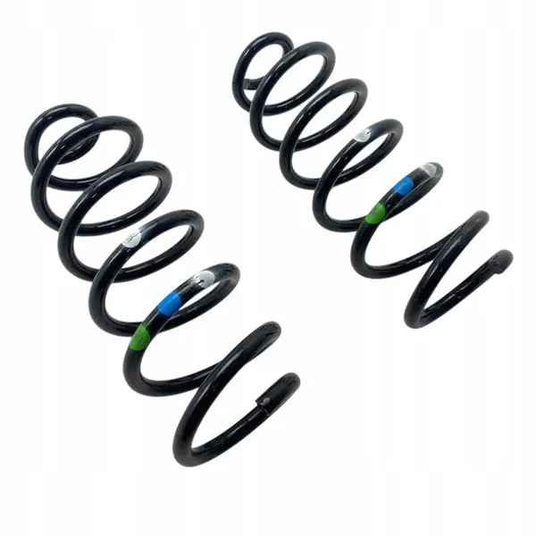 Rear Springs Dacia Duster III 25-> 550191317R image 5