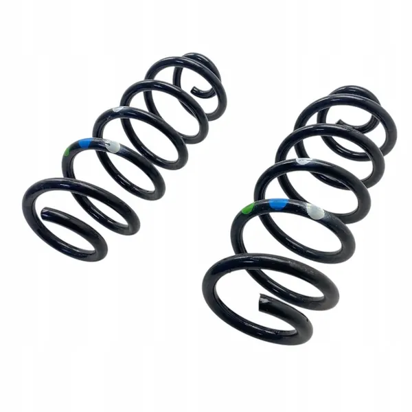 Rear Springs Dacia Duster III 25-> 550191317R image 6