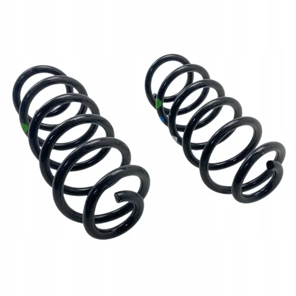 Rear Springs Dacia Duster III 25-> 550191317R image 7