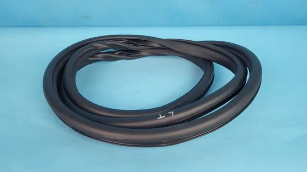 OEM 554001086AA Vänster bakdörrtätning Chery Omoda 5 image 2