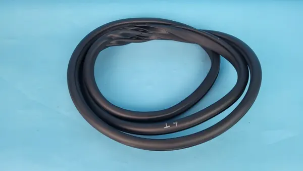 OEM 554001086AA Vänster bakdörrtätning Chery Omoda 5 image 4