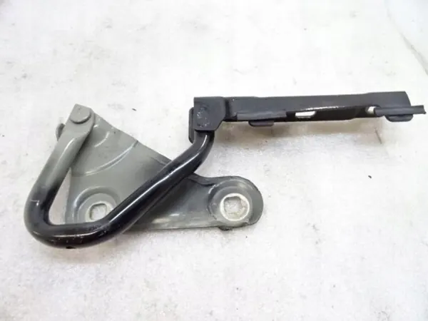 OEM 13480731-123ds-d266bc-c08b3e Charnière Droite Capot image 4