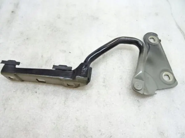 OEM 13480731-123ds-d266bc-c08b3e Charnière Droite Capot image 5