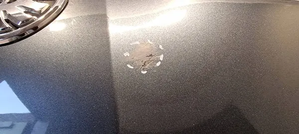 Motorhuv SKODA OCTAVIA 3 III LIFT 2017-2020 OEM 5E0823031B image 5